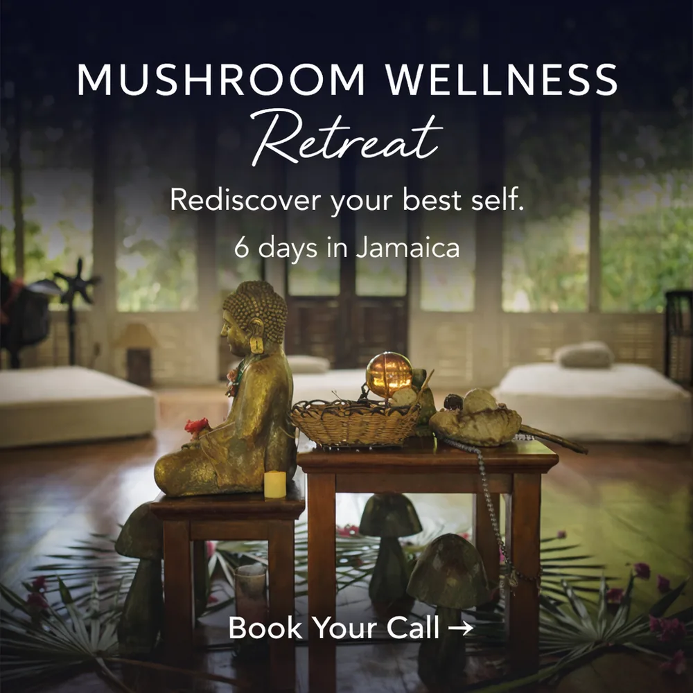 ONE Retreats ad creative